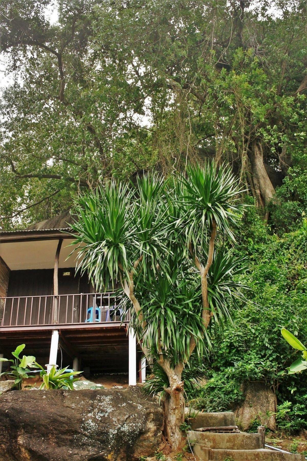 Green Canyon Resort Lamai Beach  Exterior foto